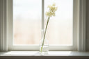 Shades 4 Seasons Hydrangea Stem - Elegant Home Accessory CREAM PLASTIC Shades 4 Seasons