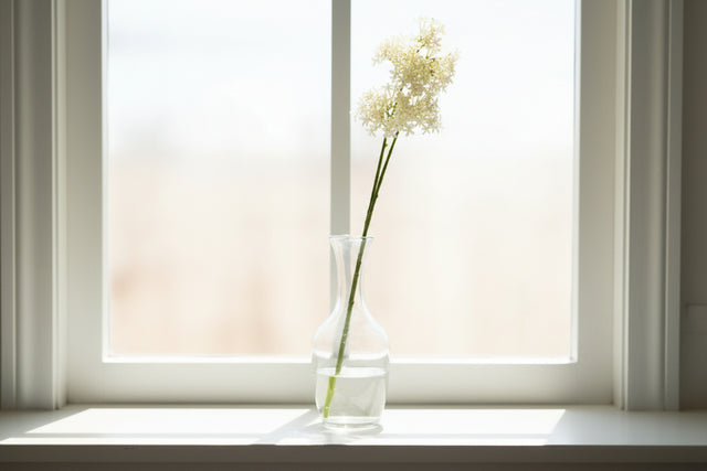 Shades 4 Seasons Hydrangea Stem - Elegant Home Accessory CREAM PLASTIC Shades 4 Seasons