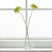 Shades 4 Seasons Hydrangea Stem - Realistic Floral Decor GREEN PLASTIC Shades 4 Seasons
