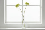 Shades 4 Seasons Hydrangea Stem - Realistic Floral Decor GREEN PLASTIC Shades 4 Seasons