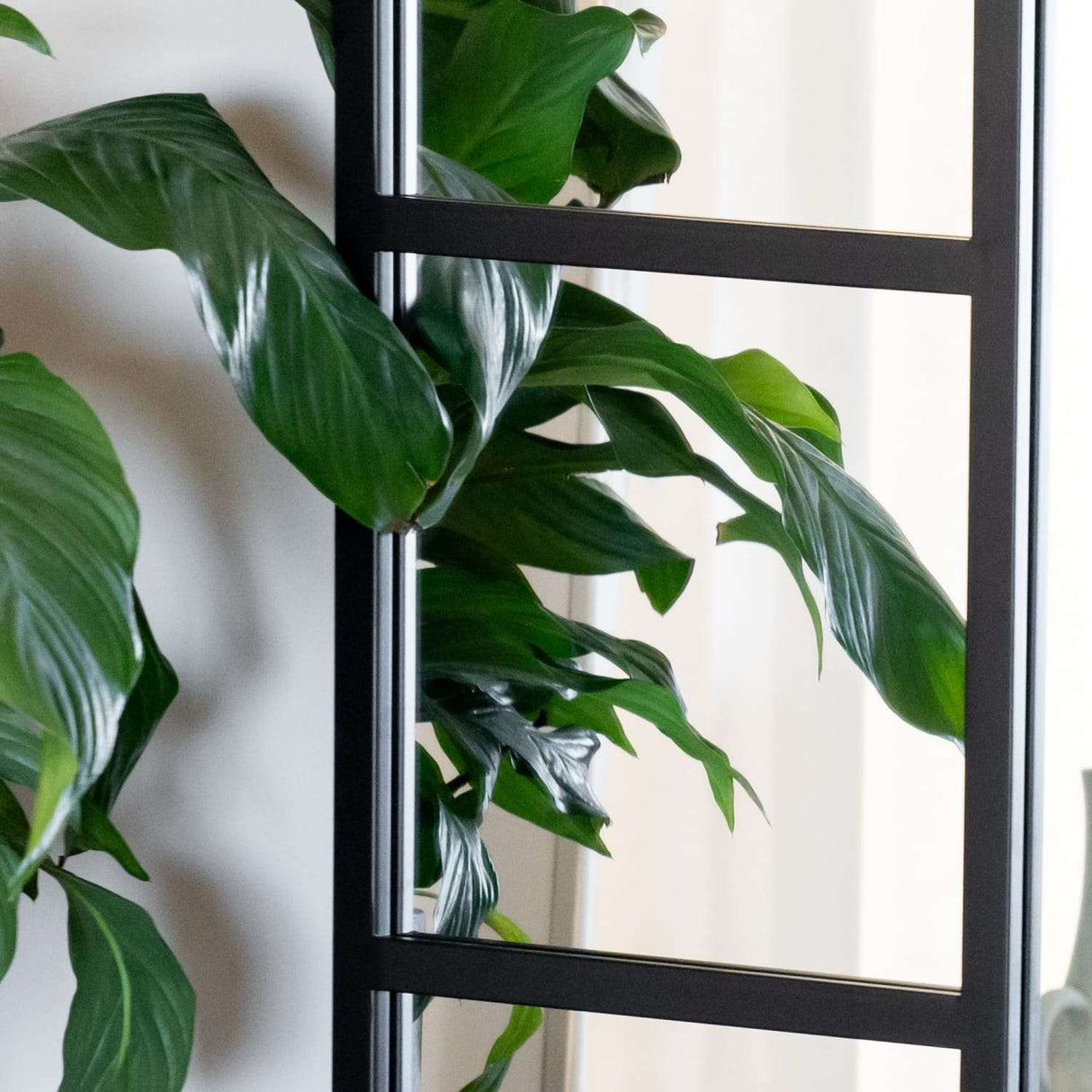Jobu Home Window Mirror with a sleek design reflecting indoor greenery
