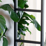 Jobu Home Window Mirror with a sleek design reflecting indoor greenery