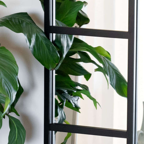 Jobu Home Window Mirror with a sleek design reflecting indoor greenery