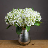 Shades 4 Seasons Lace Cap Hydrangea Artificial Stem WHITE PLASTIC Shades 4 Seasons