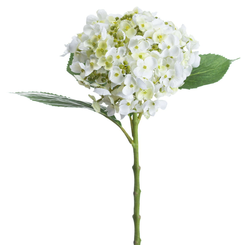 Shades 4 Seasons Lace Cap Hydrangea Artificial Stem Shades 4 Seasons