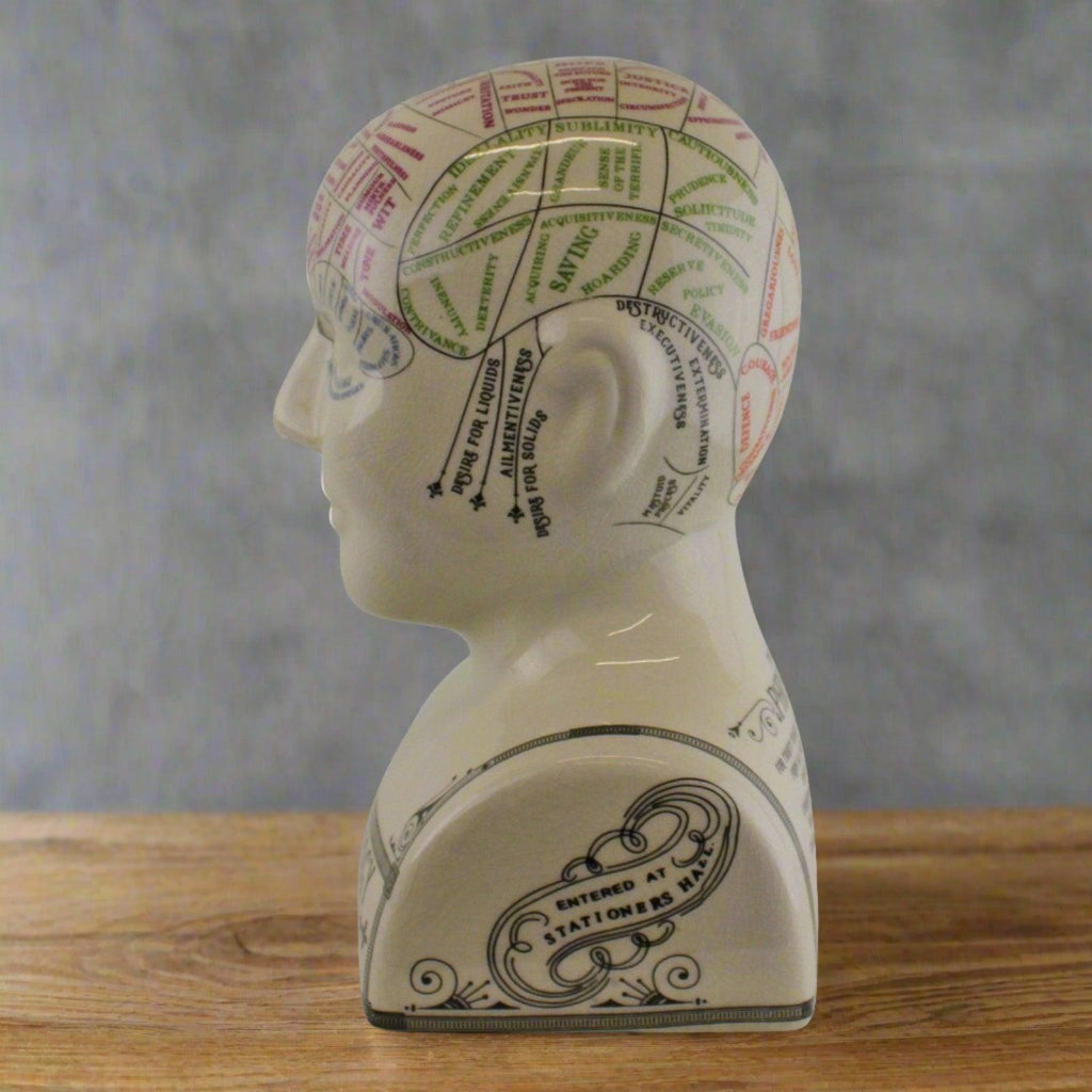 Large Ceramic Crackle Phrenology Head Geko Products