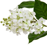 The Natural Garden Collection White Lilac Stem Shades 4 Seasons