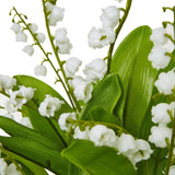 Shades 4 Seasons Lily Of The Valley Single Stem Flowers Shades 4 Seasons