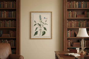 Framed Linen Artwork featuring botanical illustration in a warm library setting with bookshelves
