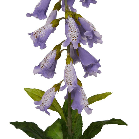The Natural Garden Collection Mauve Foxglove Shades 4 Seasons