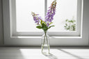 The Natural Garden Collection Mauve Foxglove Lilac PLASTIC Shades 4 Seasons