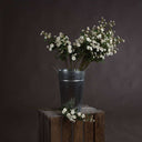 Shades 4 Seasons Meadow Rose Artificial Single Stem WHITE PLASTIC Shades 4 Seasons