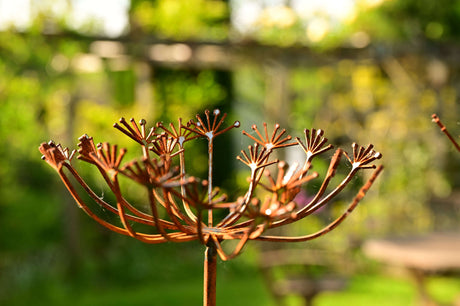 Beautiful Metal Cow Parsley garden decoration with intricate metalwork and natural outdoor setting