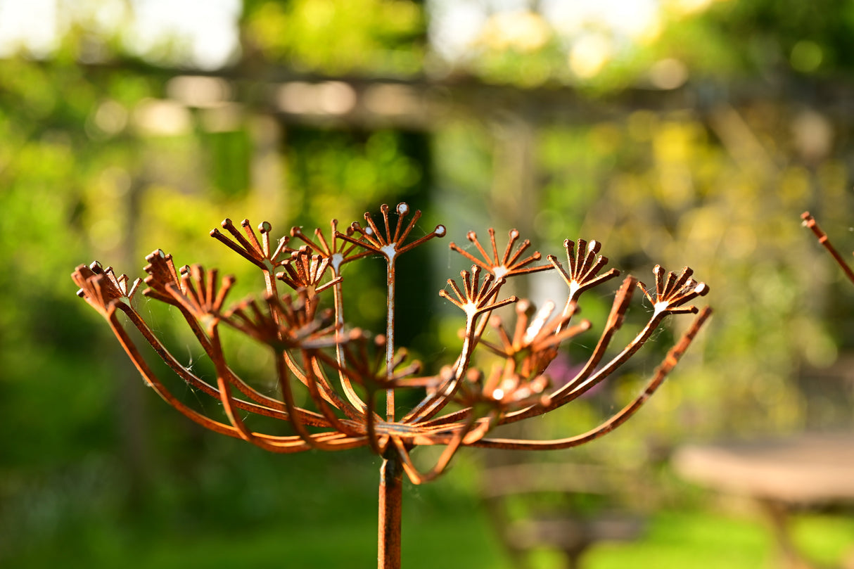 Beautiful Metal Cow Parsley garden decoration with intricate metalwork and natural outdoor setting