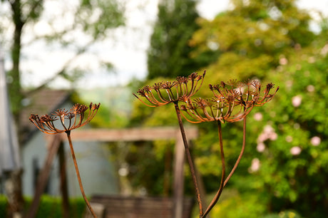 Decorative Metal Cow Parsley featuring intricate details for garden enhancement