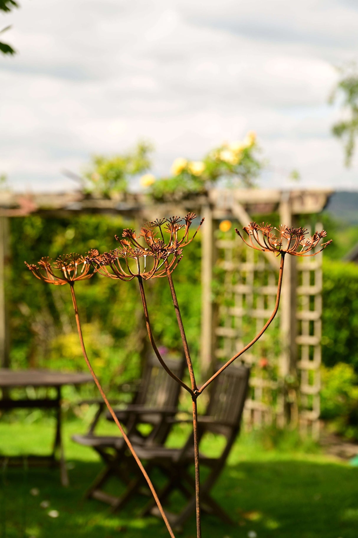 Elegant Metal Cow Parsley garden decoration adding charm to the outdoor space