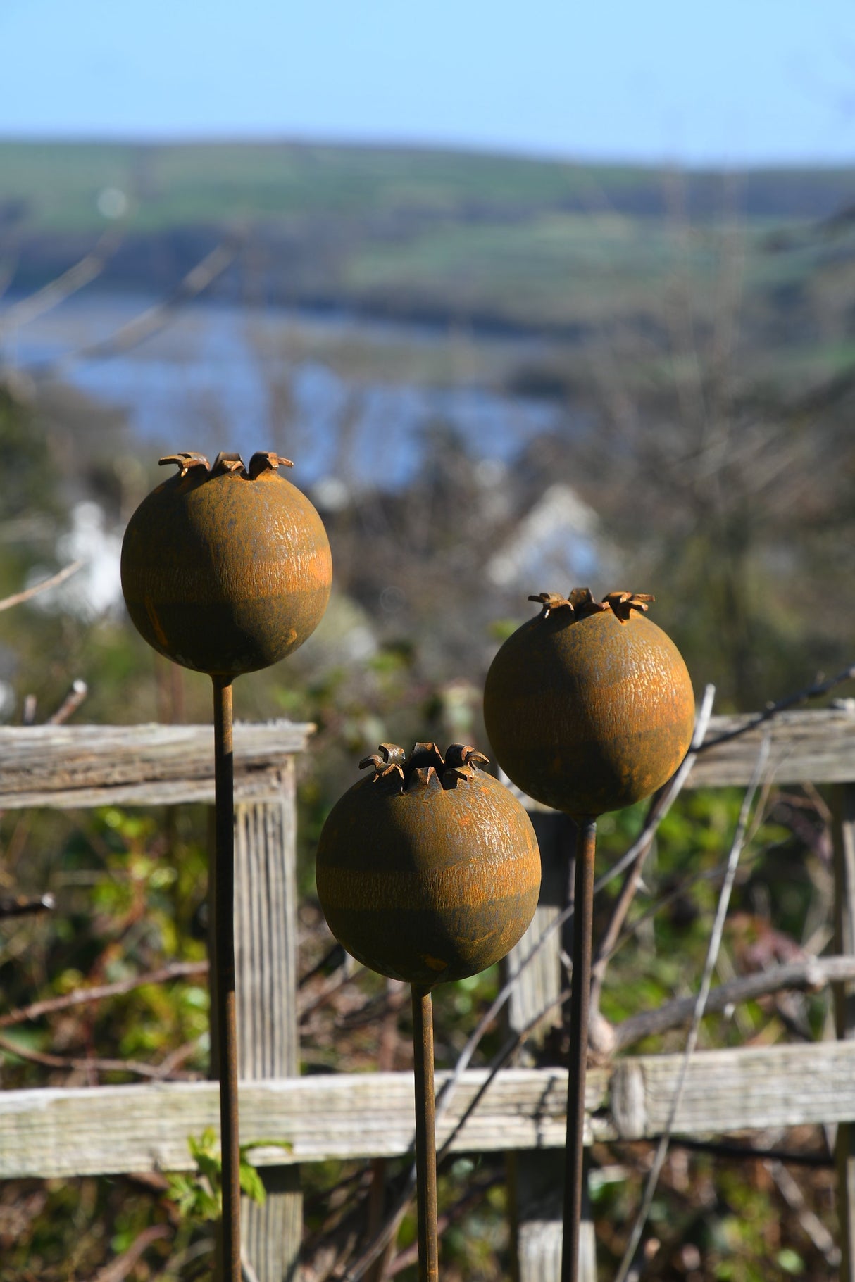 Three decorative Metal Poppy Seedhead garden sculptures on stakes with a scenic background
