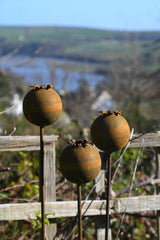 Three decorative Metal Poppy Seedhead garden sculptures on stakes with a scenic background