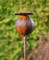 Rustic Metal Poppy Seedhead Garden Ornament with Natural Patina Finish for Outdoor Decor