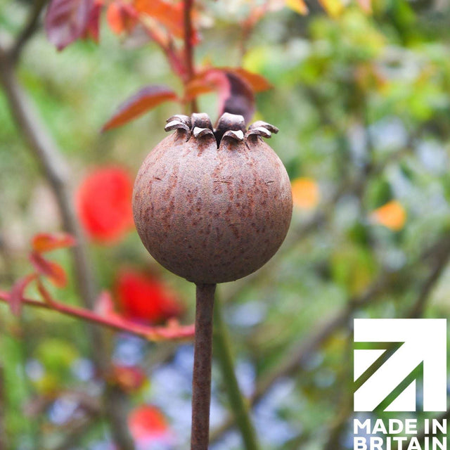 Beautiful Metal Poppy Seedhead Sculpture with Detailed Design and Rustic Finish, Made in Britain