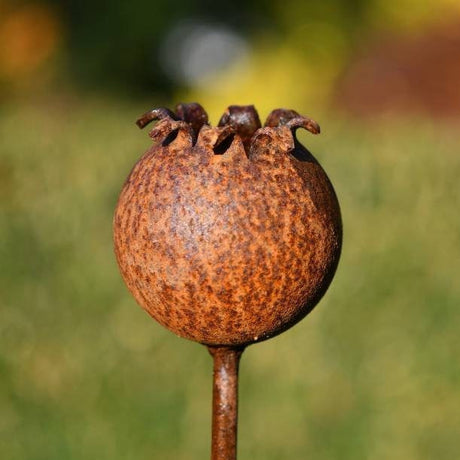 Rustic Metal Poppy Seedhead Garden Ornament for Unique Outdoor Decor