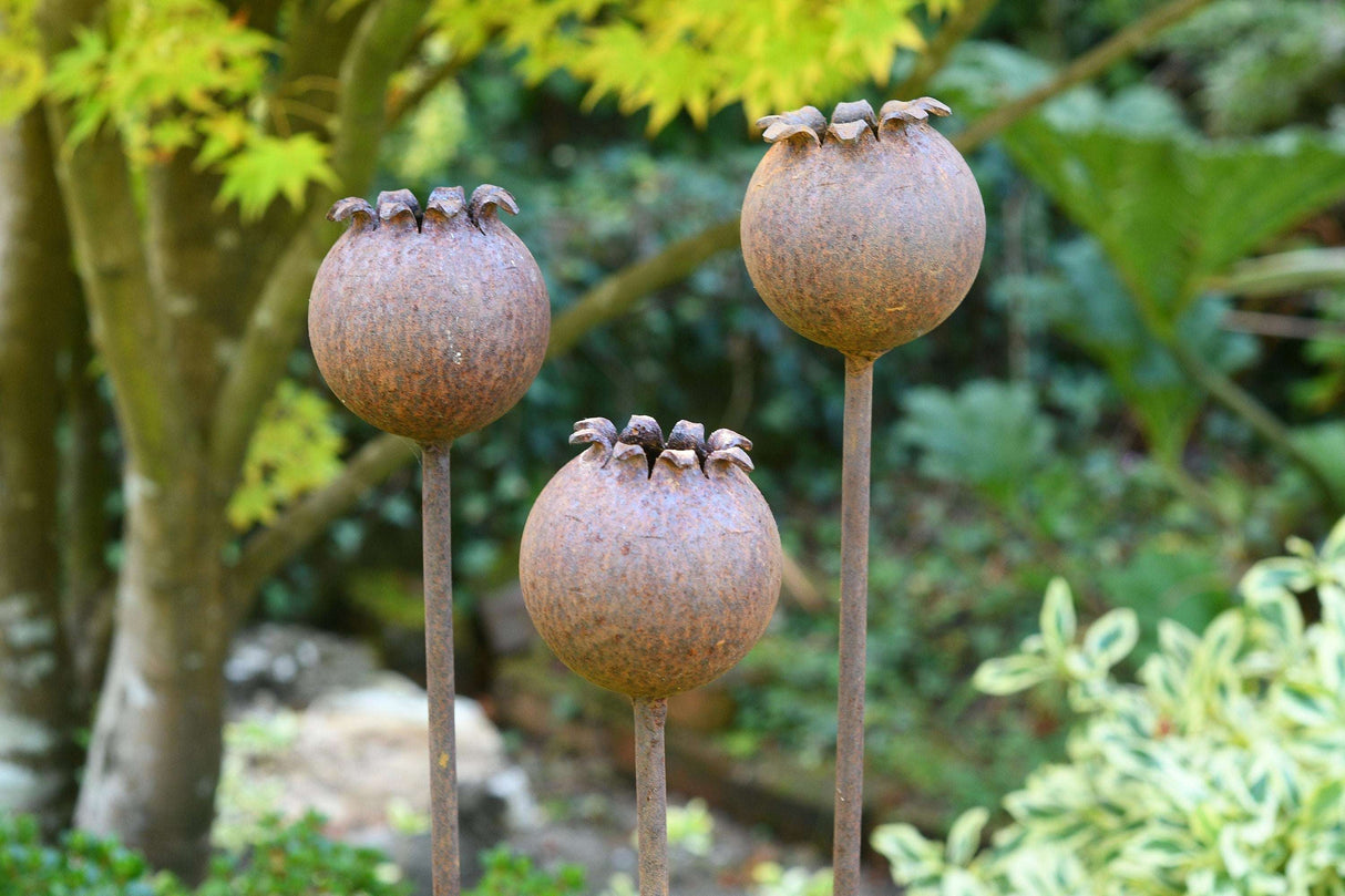 Three Metal Poppy Seedhead garden sculptures adding a rustic touch to outdoor landscapes