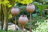 Three Metal Poppy Seedhead garden sculptures adding a rustic touch to outdoor landscapes