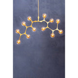 Abira 12 Arm Gold Finish Pendant Light Orsina
