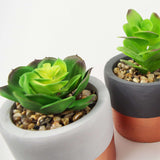 Leaf Copper Band Planters - Set of 3 Concrete Succulent Pots Leaf