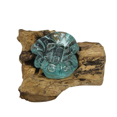 Molton Glass Candle Single Holder on Wood AW Dropship UK