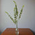 Shades 4 Seasons Artificial Eucalyptus Spray Stem GREEN PLASTIC Shades 4 Seasons