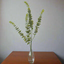 Shades 4 Seasons Artificial Eucalyptus Spray Stem GREEN PLASTIC Shades 4 Seasons