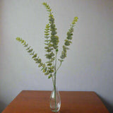 Shades 4 Seasons Artificial Eucalyptus Spray Stem GREEN PLASTIC Shades 4 Seasons