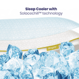 Brightr Sleep Neck Support Pillow featuring Coolacoachill technology and a comfortable, adjustable design