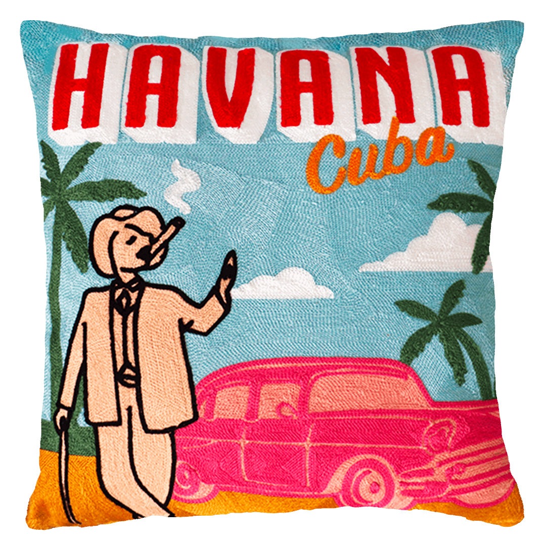 The Pillow Drop Needlepoint Cushion - Havana Design The Pillow Drop