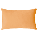 The Pillow Drop Needlepoint Cushion for Scorpio Design The Pillow Drop