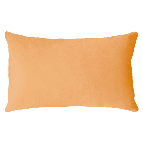 The Pillow Drop Needlepoint Cushion for Scorpio Design The Pillow Drop