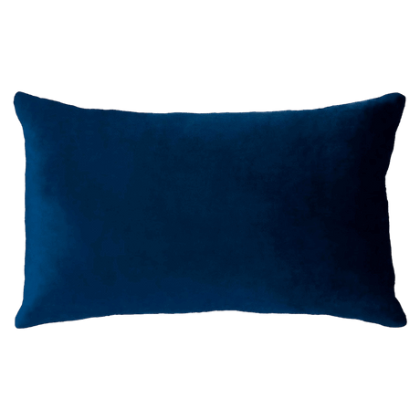 Netflix & Chill Needlepoint Cushion The Pillow Drop