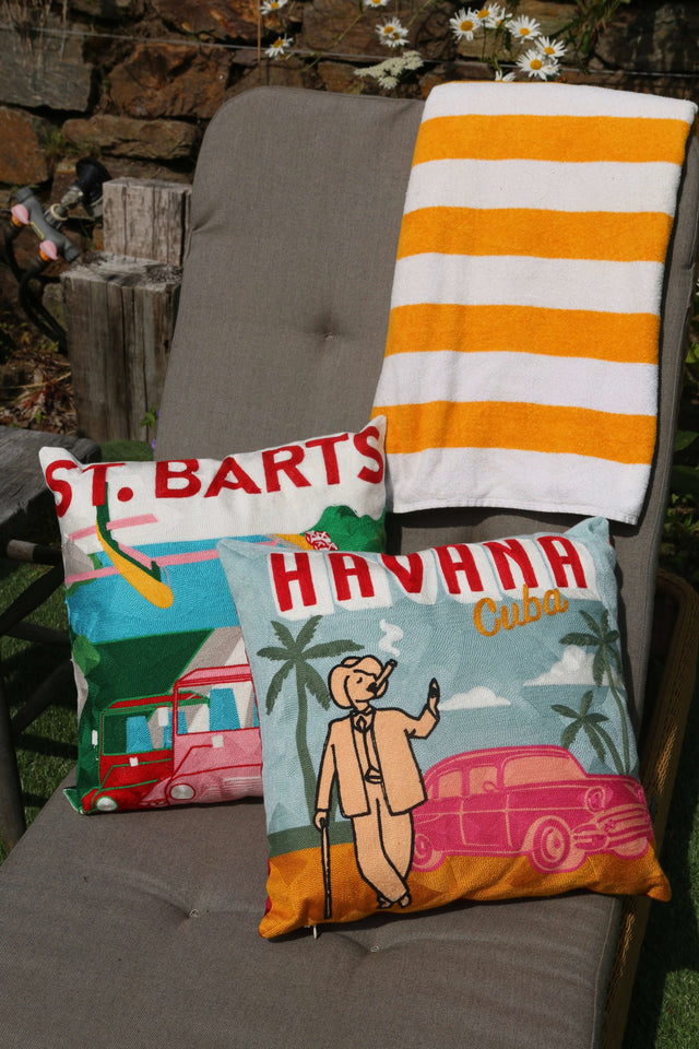 The Pillow Drop Needlepoint Cushion - Havana Design The Pillow Drop