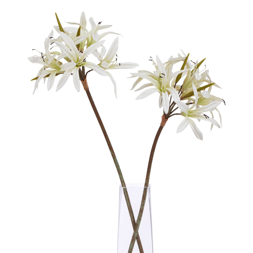 The Natural Garden Collection White Nerine Lily Stem Shades 4 Seasons