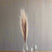 Shades 4 Seasons Pampas Grass Stem - Elegant Single Stem BROWN PLASTIC Shades 4 Seasons