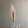 Shades 4 Seasons Pampas Grass Stem - Elegant Single Stem BROWN PLASTIC Shades 4 Seasons