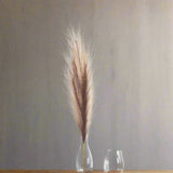 Shades 4 Seasons Pampas Grass Stem - Elegant Single Stem BROWN PLASTIC Shades 4 Seasons