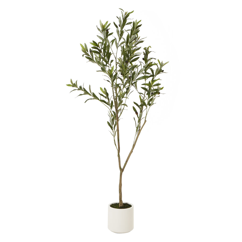 Apulia Olive Tree In White Pot 150Cm BROWN PLASTIC Shades 4 Seasons