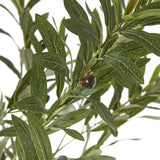 Apulia Olive Tree In White Pot 180Cm Shades 4 Seasons