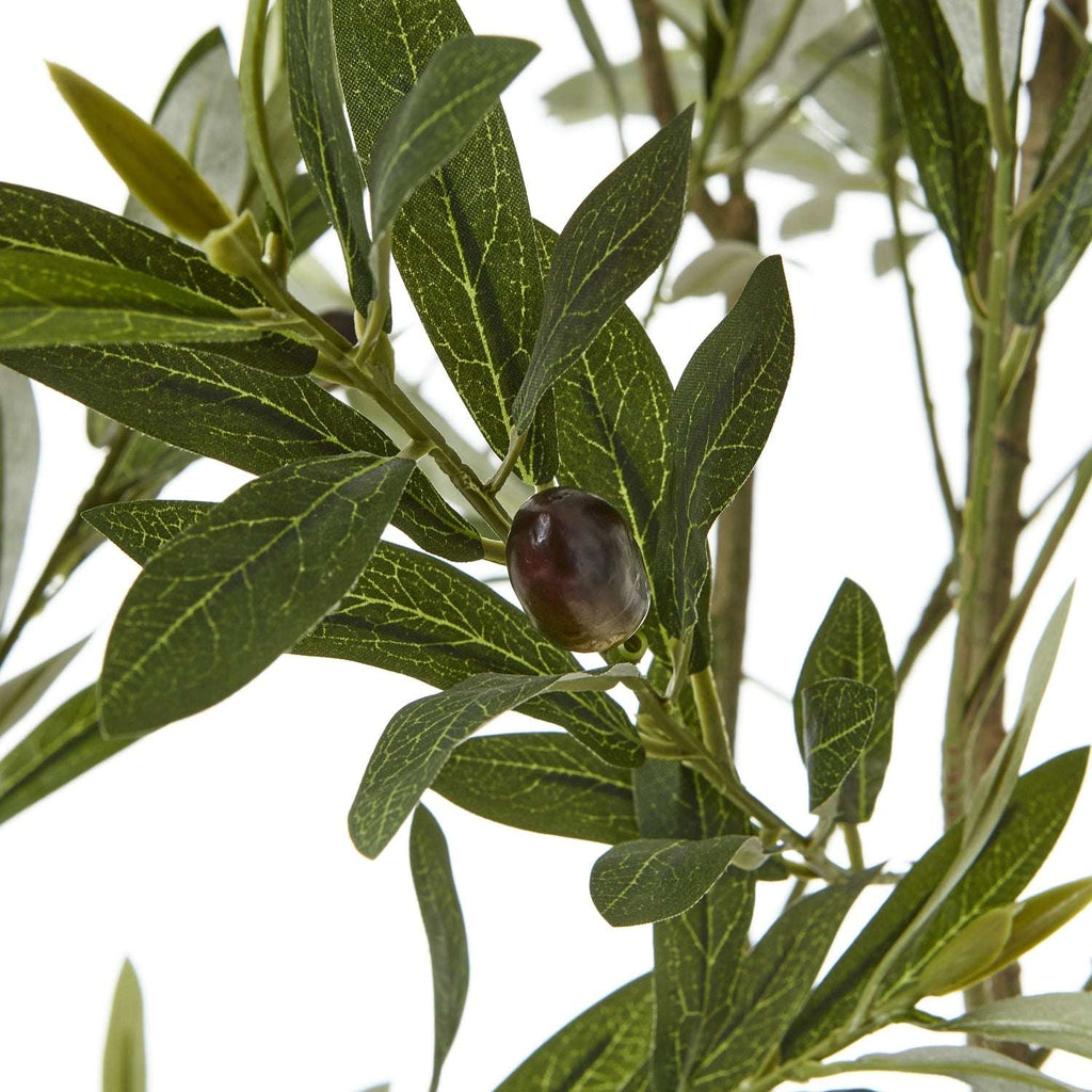 Apulia Olive Tree In White Pot 200Cm Shades 4 Seasons