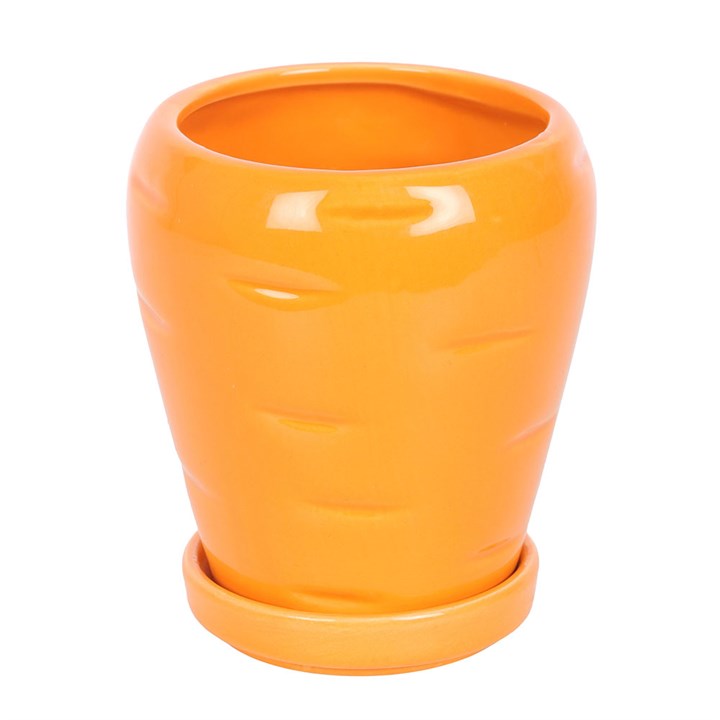 Carrot Shaped Plant Pot with Parsley Seed Balls N/A