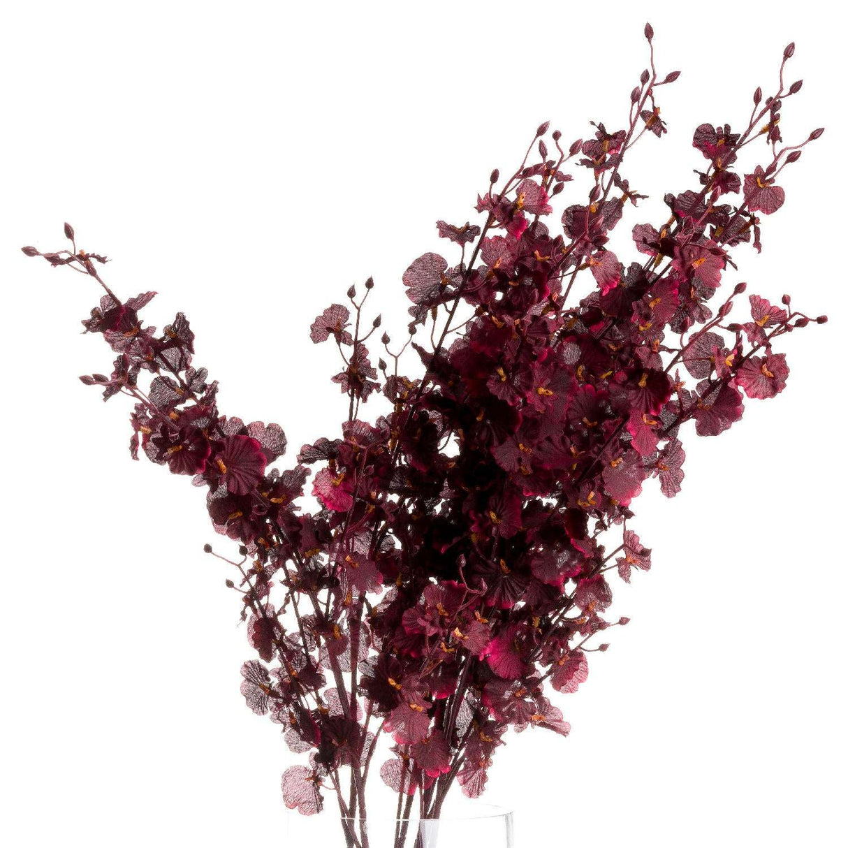 Shades 4 Seasons Autumn Orchid Spray Single Stem Default Title Shades 4 Seasons