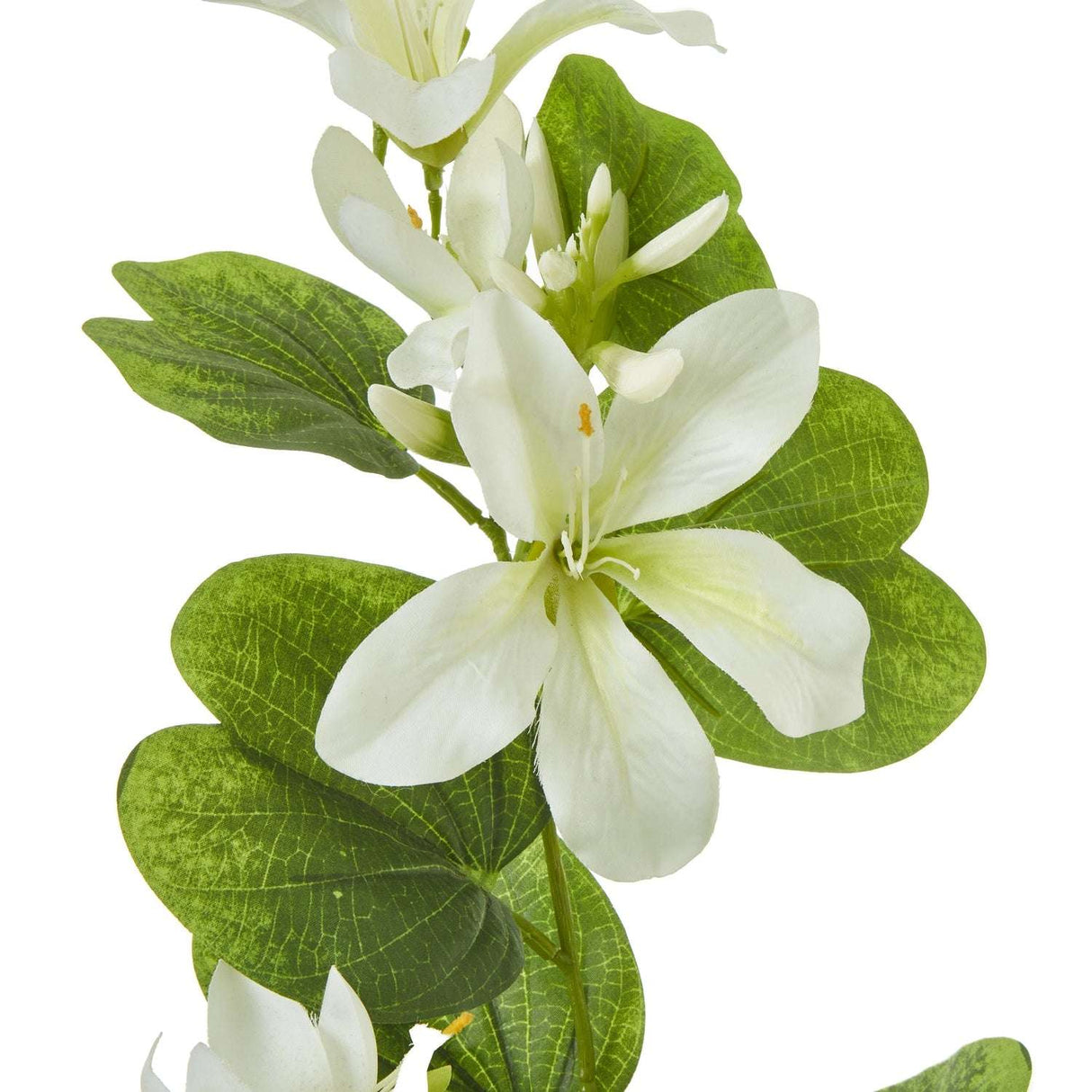 Shades 4 Seasons Orchid Spray for Elegant Home Decor Shades 4 Seasons