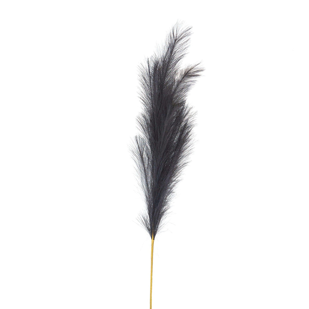 Shades 4 Seasons Black Pampas Grass Stem - Stylish Decor GREY PLASTIC Shades 4 Seasons